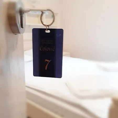 Maison d'hôtes Colovic Zlatibor