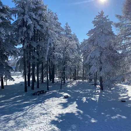 Maison d'hôtes Colovic
