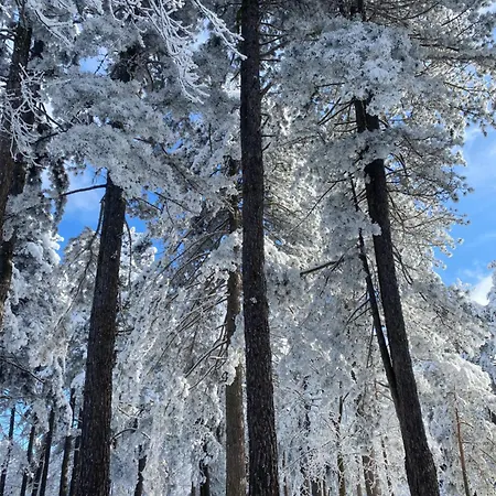 Colovic Maison d'hôtes